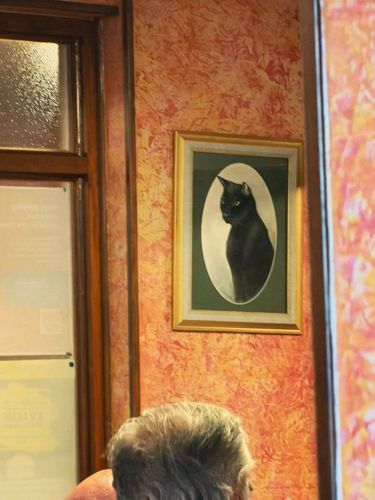 Plumstead Radical Club, photo 7 of 13