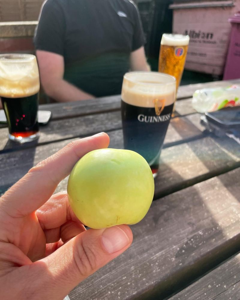 O'Briens, photo 7 of 7