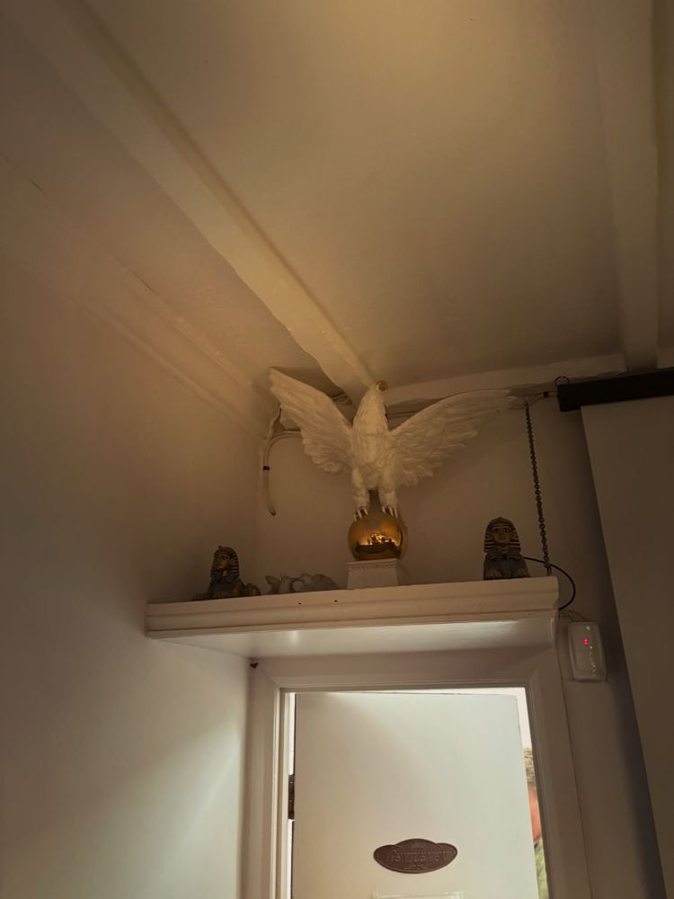 Streeties, 2025, photo 5 of 10